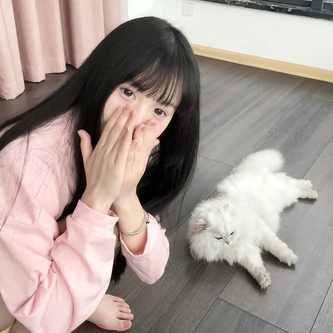阿尔玛与狼 在线观看封面